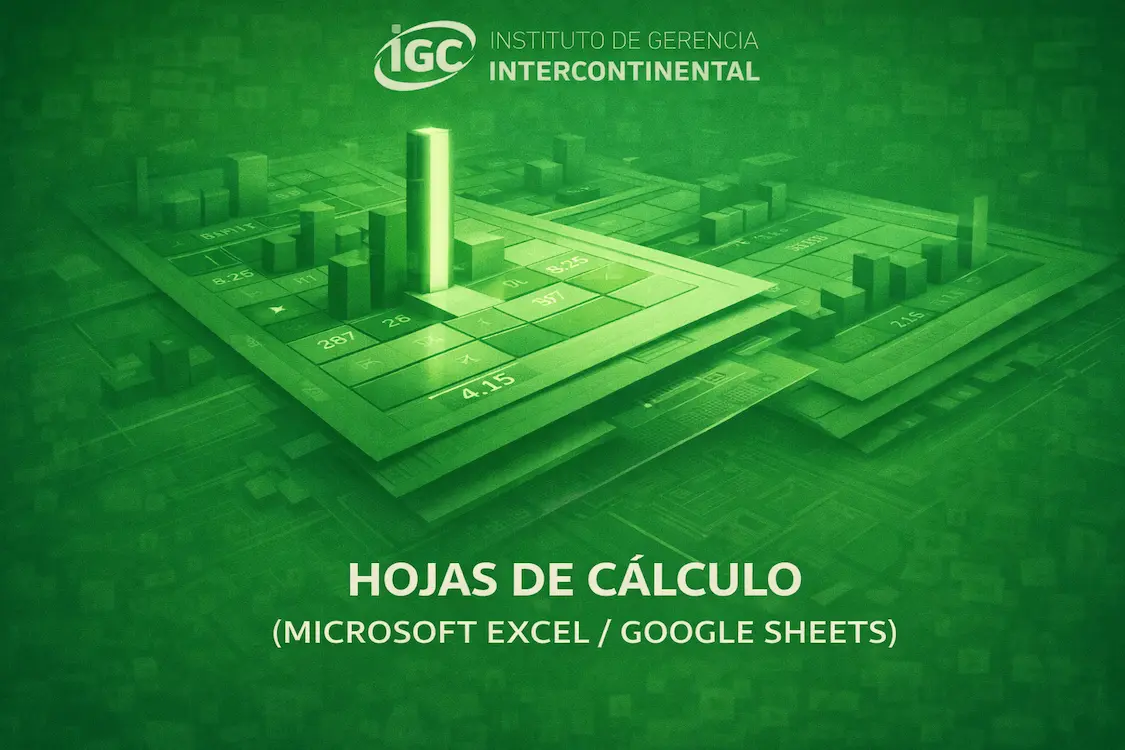 Imagen de Hojas de Cálculo (Microsoft Excel _ Google Sheets)